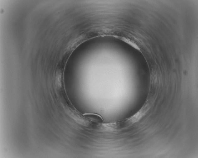 X0000072960188200608041202