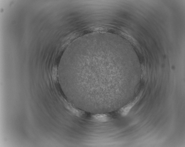 X0000072960189200608041202