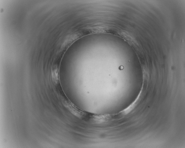 X0000072960190200608041202