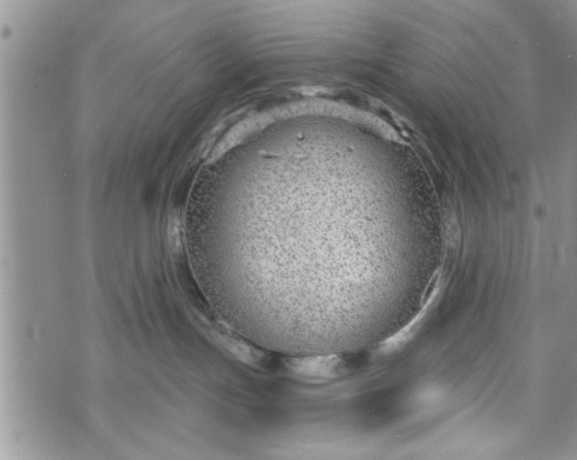 X0000072960191200608041202