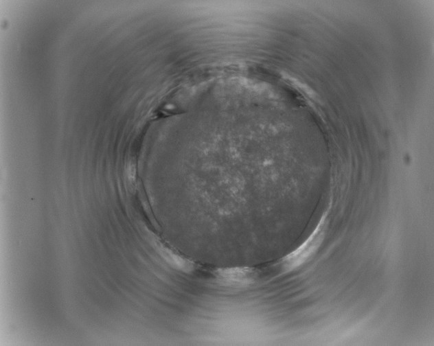 X0000072960192200608041202