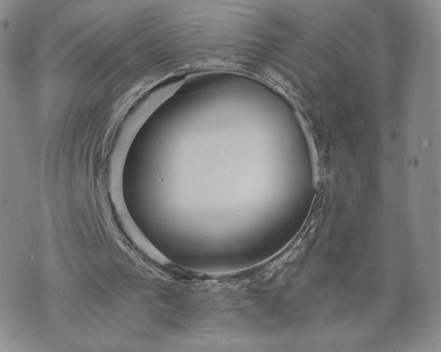 X0000072960193200608041201