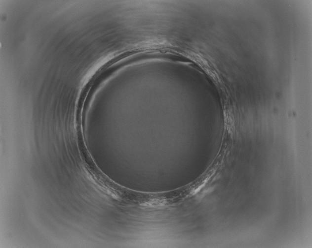 X0000072960196200608041201