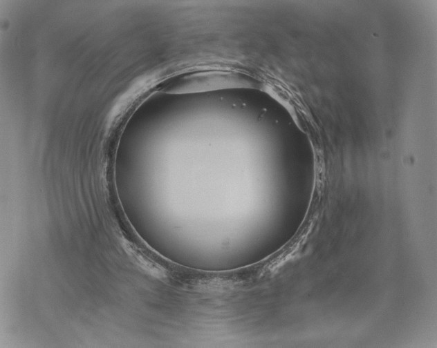 X0000072960197200608041201