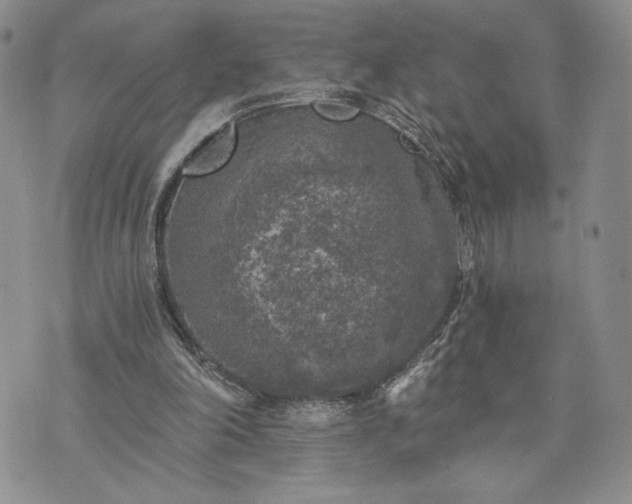 X0000072960198200608041201