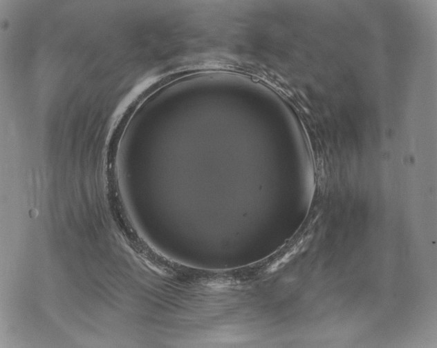 X0000072960200200608041201