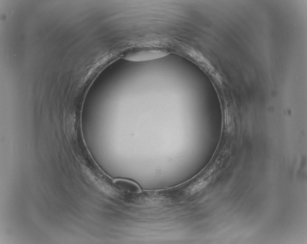 X0000072960201200608041201