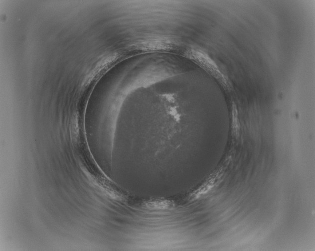 X0000072960202200608041201