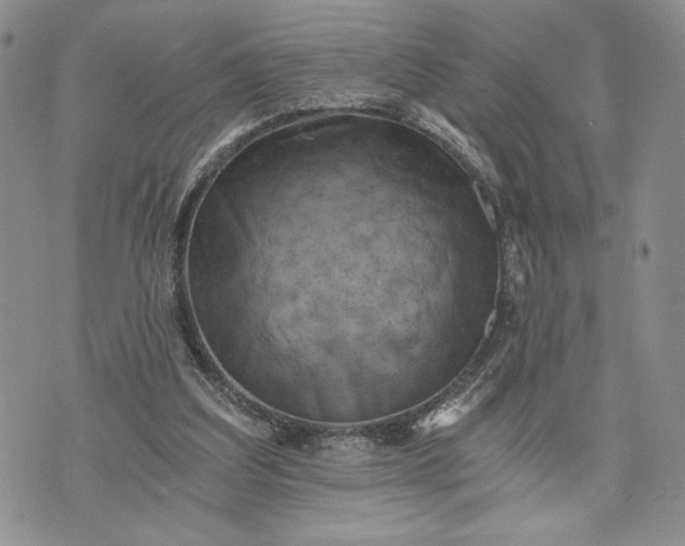 X0000072960203200608041201