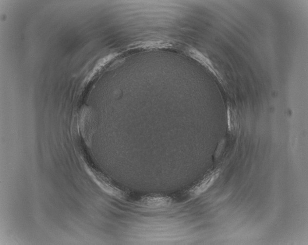 X0000072960205200608041201