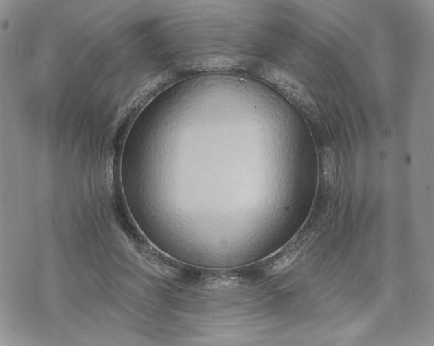 X0000072960206200608041201