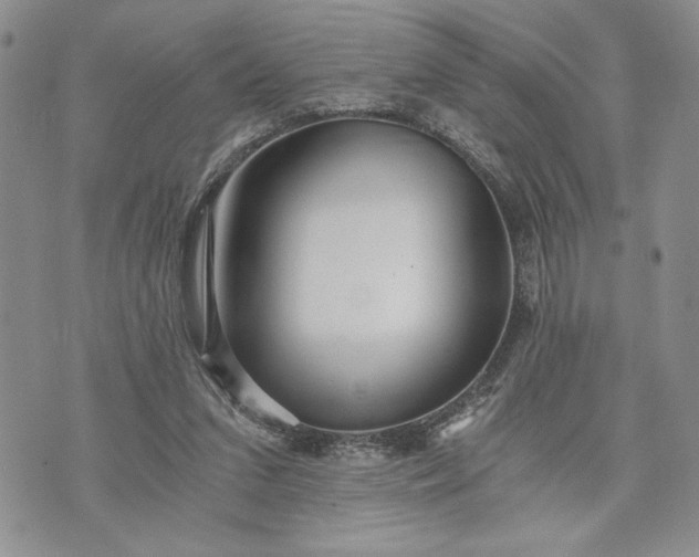 X0000072960207200608041201