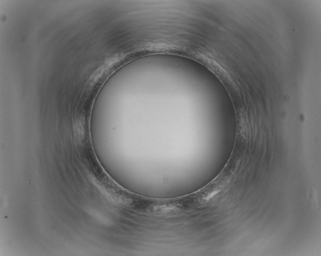 X0000072960208200608041201