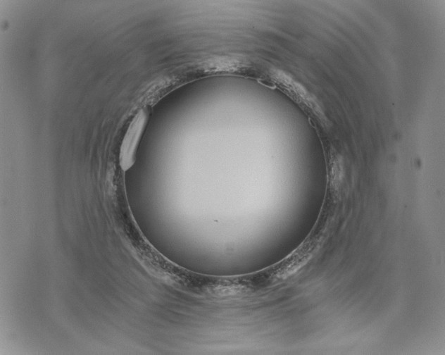 X0000072960209200608041201