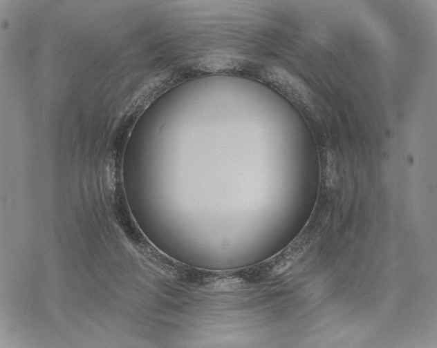 X0000072960210200608041201