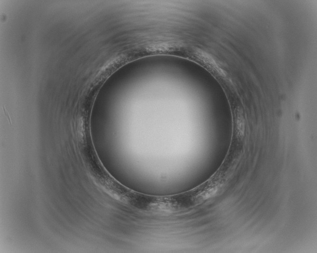 X0000072960211200608041201