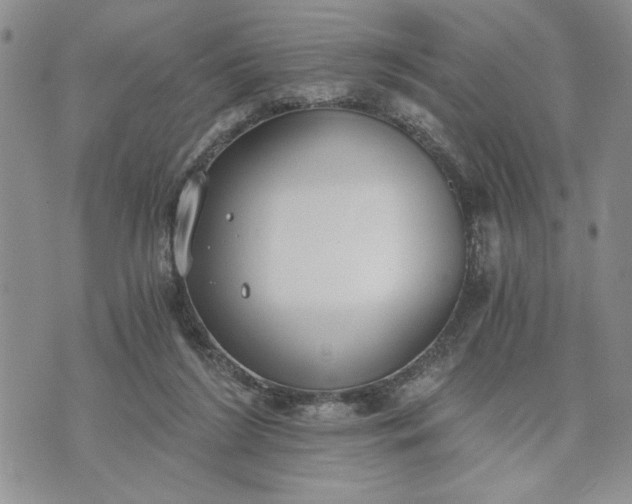 X0000072960212200608041201