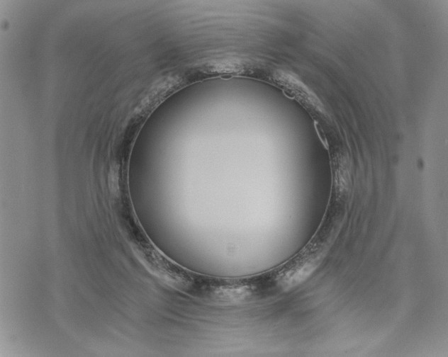 X0000072960213200608041201