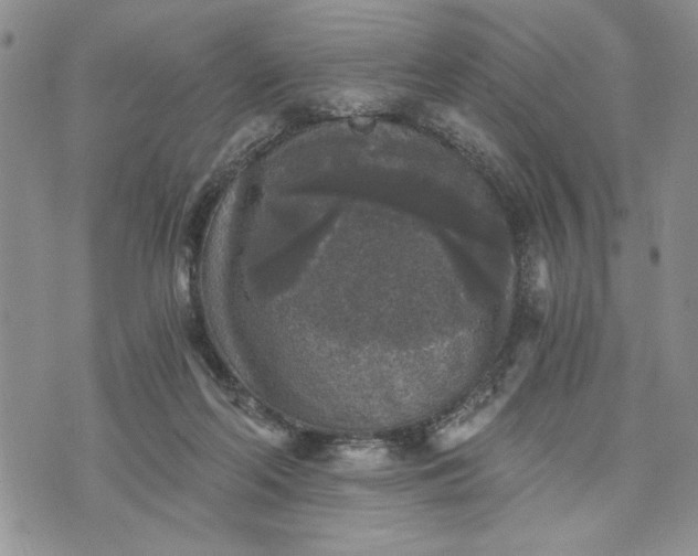 X0000072960214200608041201