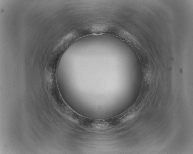 X0000072960215200608041201