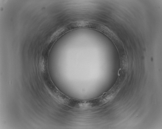 X0000072960216200608041201