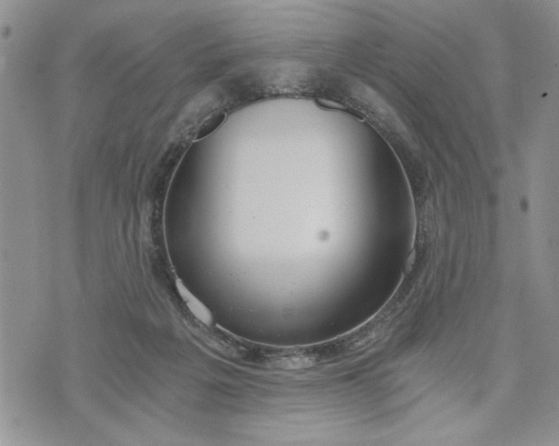 X0000072960217200608041201