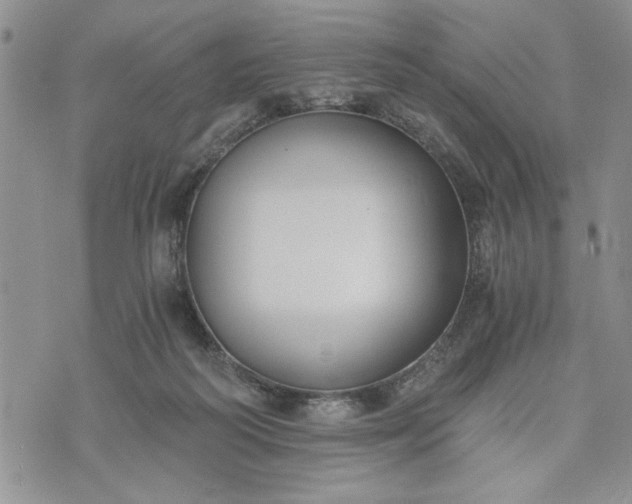 X0000072960218200608041201