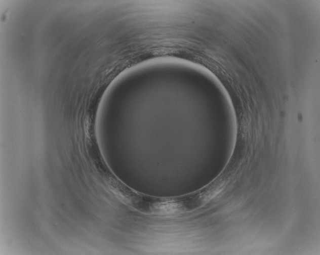 X0000072960219200608041201