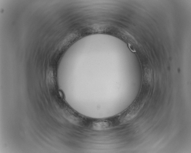 X0000072960220200608041201