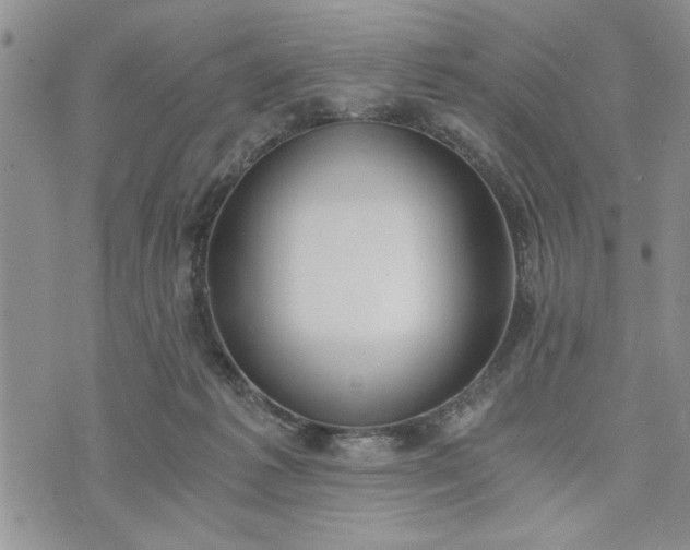 X0000072960221200608041201