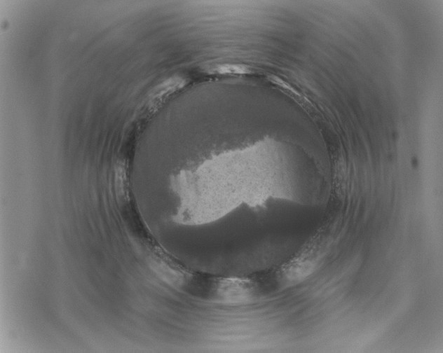 X0000072960222200608041201