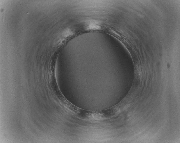 X0000072960223200608041201