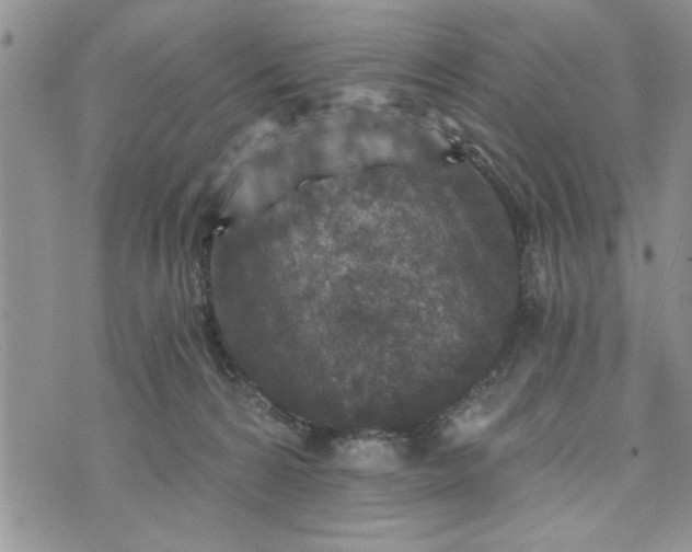 X0000072960224200608041201