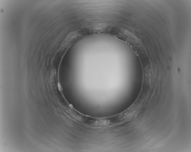 X0000072960225200608041201