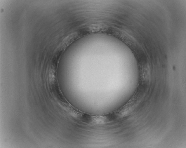 X0000072960226200608041201