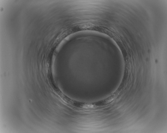 X0000072960227200608041201