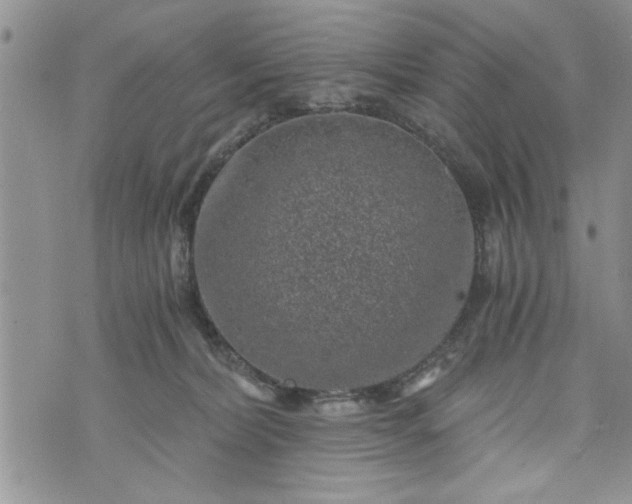 X0000072960228200608041201