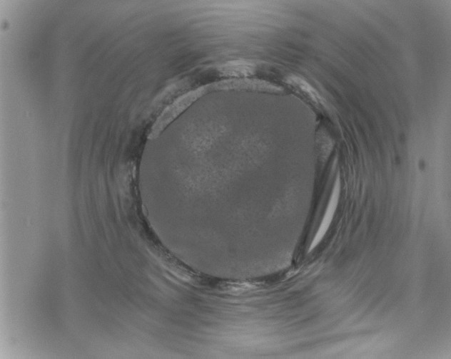 X0000072960229200608041201