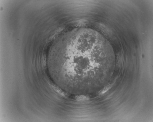 X0000072960230200608041201