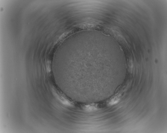 X0000072960232200608041201