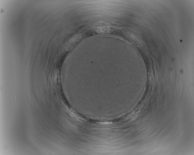 X0000072960233200608041201