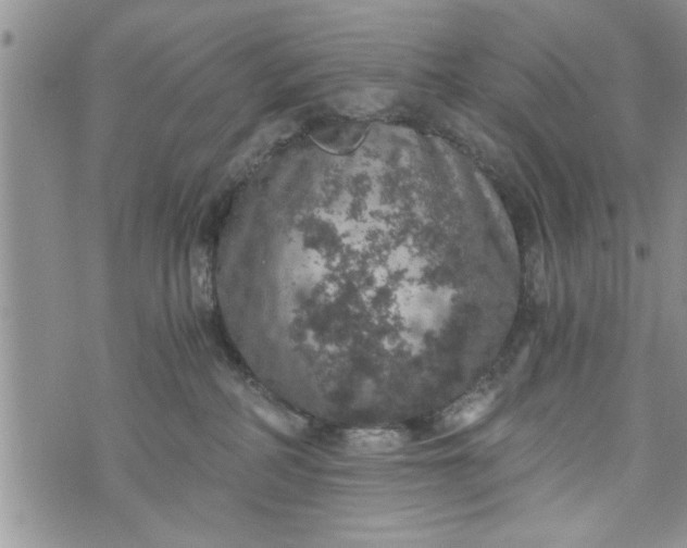 X0000072960234200608041201