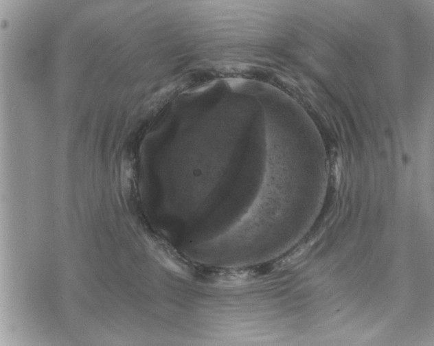 X0000072960235200608041201