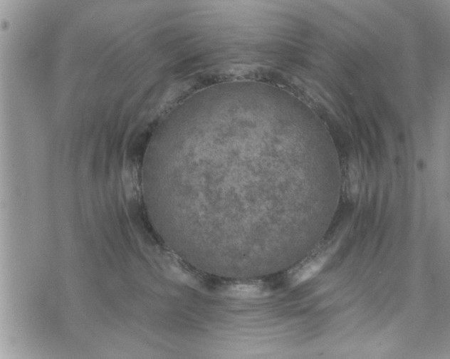 X0000072960236200608041201