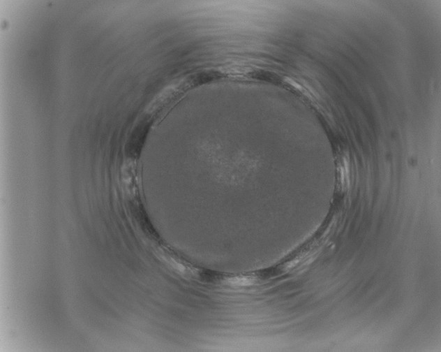 X0000072960237200608041201