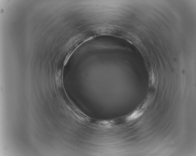 X0000072960239200608041200