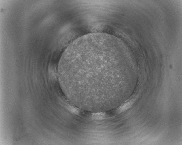 X0000072960240200608041200