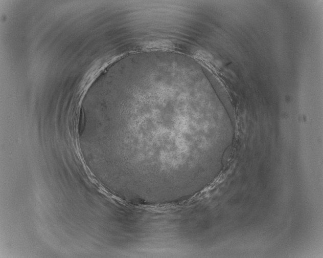 X0000072960241200608041200