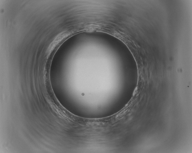 X0000072960242200608041200