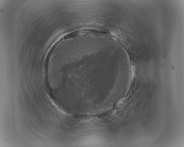 X0000072960243200608041200